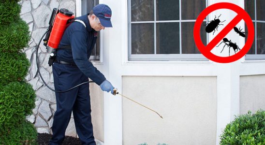Siverek Akrep İlaçlama böcek ilaçlama ve haşere kontrolü — ilaclama-tr.com